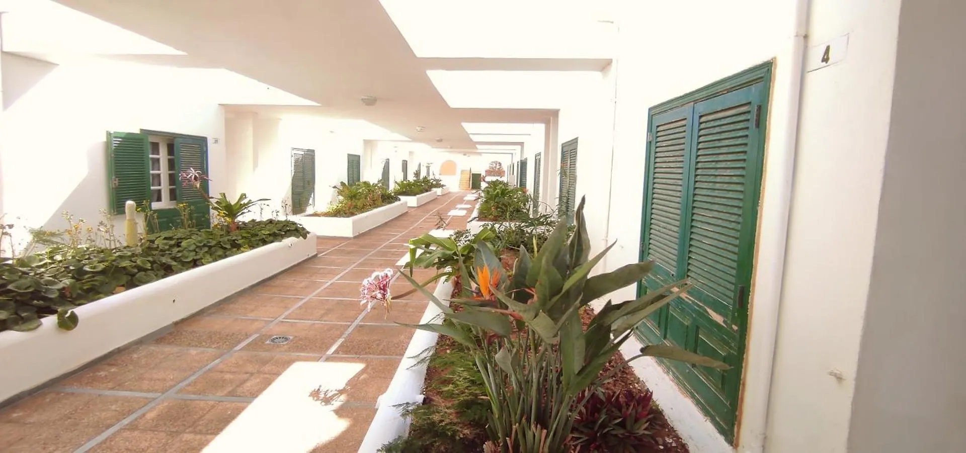 Pool Terrace Apartment El Medano  Spain